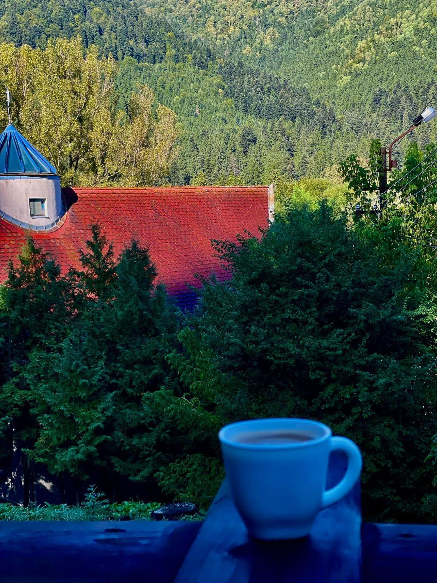 Casa De Oaspeti Kinga'S Crown BaileTusnad Eksteriør bilde